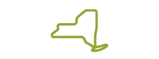 An green illustration of New York State